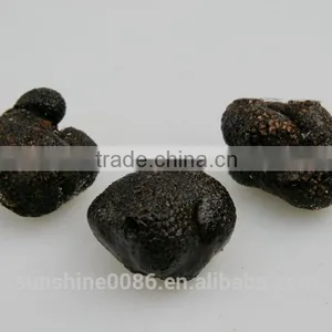 High Quality Fresh Black Truffle From Yunnan,china thumbnail-5