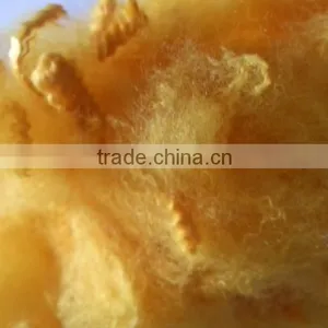 Manufacturer for Recycled Polyester Fiber thumbnail-2