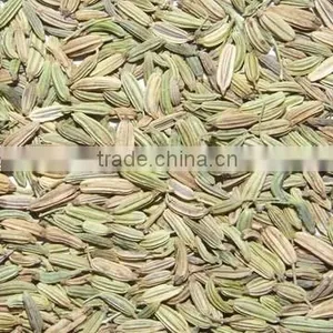 40ml Anise Oil thumbnail-1