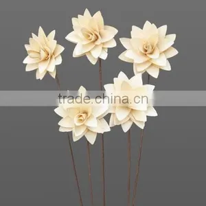 Palm-Mexican thumbnail-1