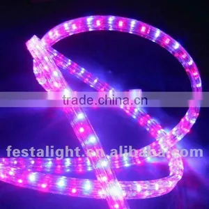 Led Rope Light CE Quality Professional Factory in Zhejiang China thumbnail-1