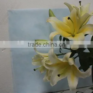 Most Popular Factory Direct Yellow Fresh Lilies thumbnail-2