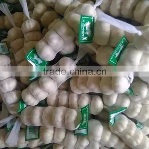 Garlic thumbnail-1