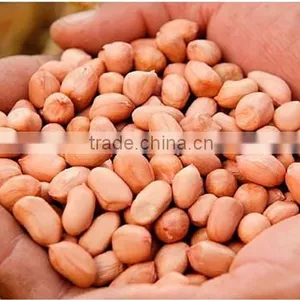 Big Baisha Peanut Kernel,light Red Skin Peanut thumbnail-1