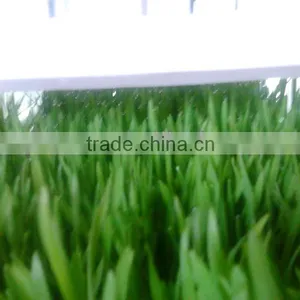 Green Farm Poultry Fodder Breeding Room thumbnail-3