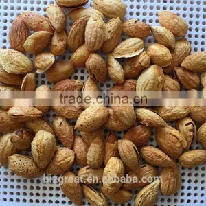 Good Taste Roasted Almond NP Type for Sales thumbnail-4