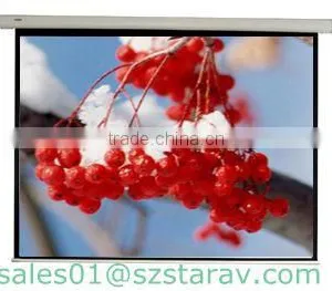 Hot Cheap Electronic Motorized Screen China Supplier 16:9 4:3 Standard Housing 1 Year Warranty thumbnail-1