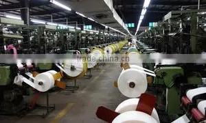Dongguan Nahoo Textile Co., Ltd. company overview - view 1 thumbnail