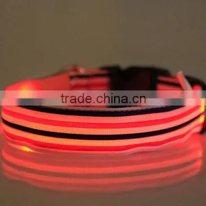 Led Dog Collar thumbnail-4
