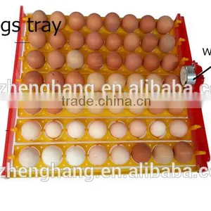 Cheap Mini 56 Egg Incubator Automatic ZH-56 Mini Egg Incubator for Sale thumbnail-4
