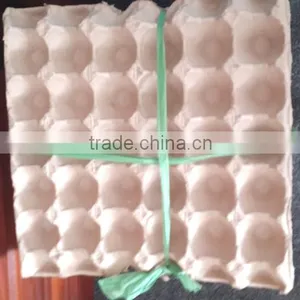 Pulp Paper Egg Tray of 30 Cells thumbnail-3