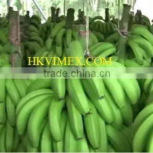 Fresh Bananas thumbnail-1