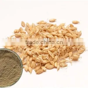 Malt Peyocactine Extract Brewing,beer Malt Extract Powder thumbnail-1