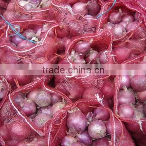 Red Onion/round Onion thumbnail-1