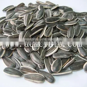 Hot Sale 5009 Big Size Sunflower Seeds thumbnail-3