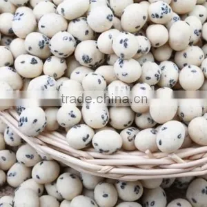 Coated Peanuts thumbnail-3