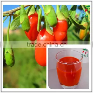 Goji Juice Concentrate for Health,goji Berries,wolfberry Seeds Juice thumbnail-4