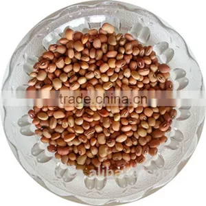 JSX Selected White Cowpeas Grade a Greatest Cowpea Bean thumbnail-2