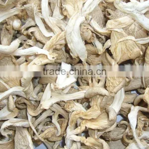 Dried Hot Sell Oyster Mushroom thumbnail-2
