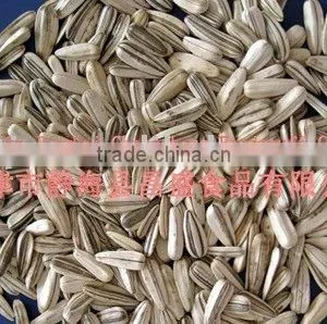 Different Types of Sunflower Seeds thumbnail-3