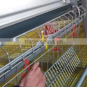 Poultry Equipment Broiler Cage thumbnail-2