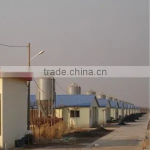 UAE Chicken Farm Poultry Equipment for Sale thumbnail-1