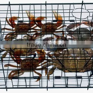 High Quality and Good Price Wire Fish Traps for Sale thumbnail-4
