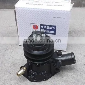 CY4100Q Water Pump thumbnail-1