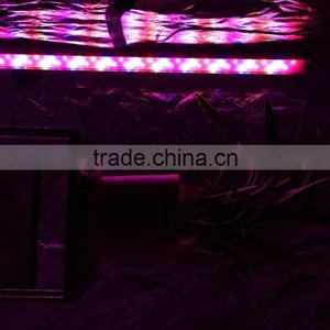 MarsHydro Greenhouse Led Grow Light , MarsHydro LED Lights Grow Bar Led Lighting,hydroponique for Reselling Worldwide Shipping thumbnail-2