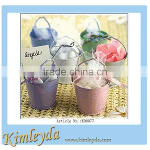 Hot Sale Mini Tin Bucket Decorative Gardening Bucket thumbnail-1