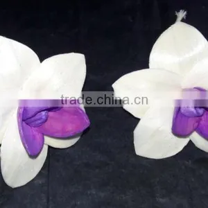 7025-7030 Sola Flower for Diffuser thumbnail-2
