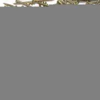 Sell Chipboard Screw thumbnail-1