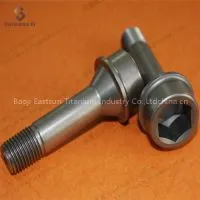 Baoji Eastsun Titanium Specialize in Gr5 Titanium Bolts thumbnail-1