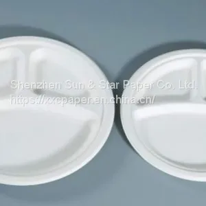 Compostable and Disposable 9 thumbnail-2