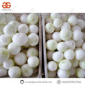 Vegetable Processor Machine High Capacity Onion Skin Removing Machine thumbnail-2