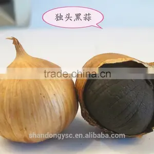 Chinese Natural Health Black Garlic Export Japan thumbnail-1