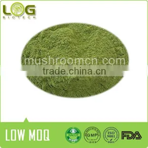 Hot Sale Organic 100% Real Natural Wasabi Powder Quality Choice thumbnail-3