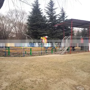 Mini Family Backyard Dragon Roller Coaster for Sale thumbnail-4