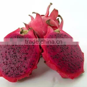 Dragon Fruit Vietnam Specialties - Fresh Dragon Fruit for Sale - Red Dragon Fruit thumbnail-1