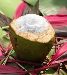 Market Price Coconut Processing Line Coconut Sugar Powder Produce Line thumbnail-2