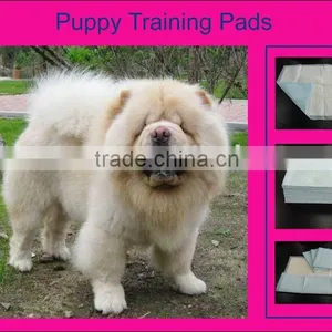 Pet Products, Pet Supply - High Absorption thumbnail-1
