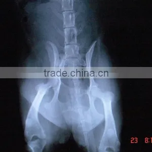 China KND-A/F CE Medical Thermal Radiography Film thumbnail-1