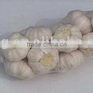 New Crop Fresh Garlic thumbnail-1
