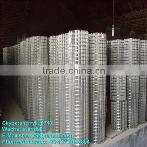 Stainless Steel Welded Wire Mesh----WMSL017 thumbnail-1