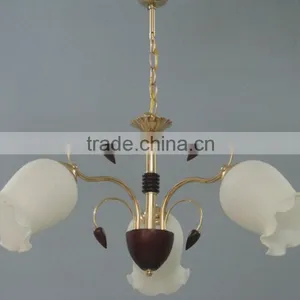 2016 Popular Flower Glass Ball Chandelier Lamps With Decorative Woods in China thumbnail-2
