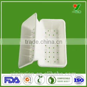 Good Quality Custom Industrial Banana Leaf Tray thumbnail-1