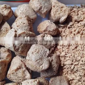 High Qualitysoya Chunk Tvp Machine Soya Twin Extruder/High Quality Soya Twin Extruder/Soya Twin Extruder thumbnail-4
