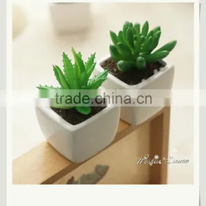 Natural Look Artificial Succulents Plant Mini Bonsai for Table Decor thumbnail-3