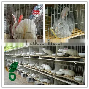 Galvanized or Pvc Coated High Quality Large Rabbit Hutch for Sale thumbnail-1