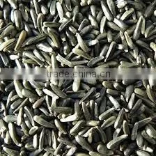 Niger Seed For Bird Feed From India thumbnail-1